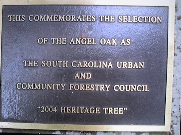 angel oak  - SC