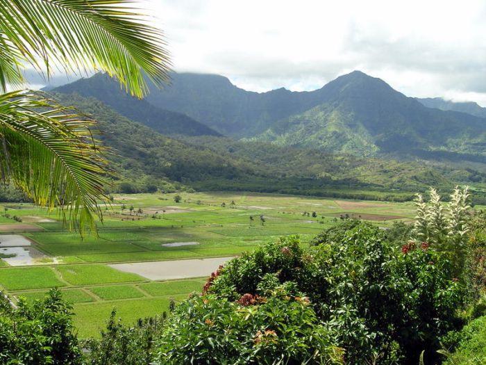 Hanalei vista.JPG