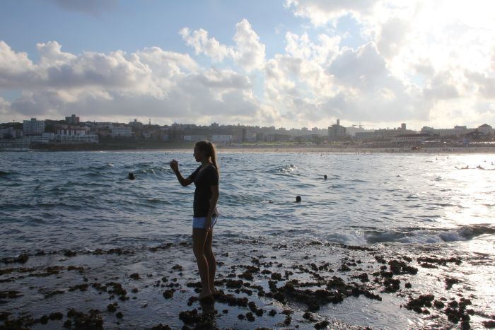 Rocks at Nth Bondi.jpg