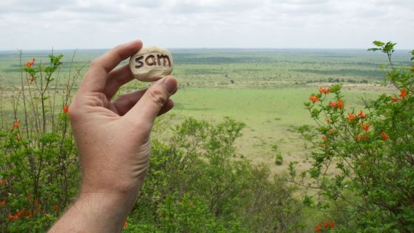 SamStone Kruger National Park.jpg