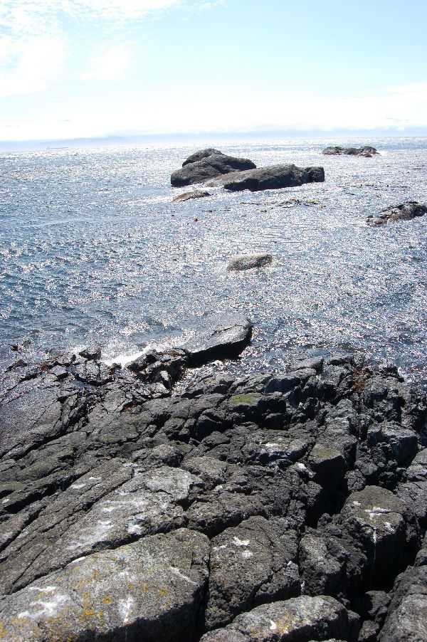 Sooke Park.jpg