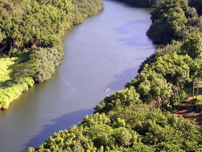 Wailua river.JPG